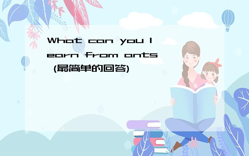 What can you learn from ants (最简单的回答)