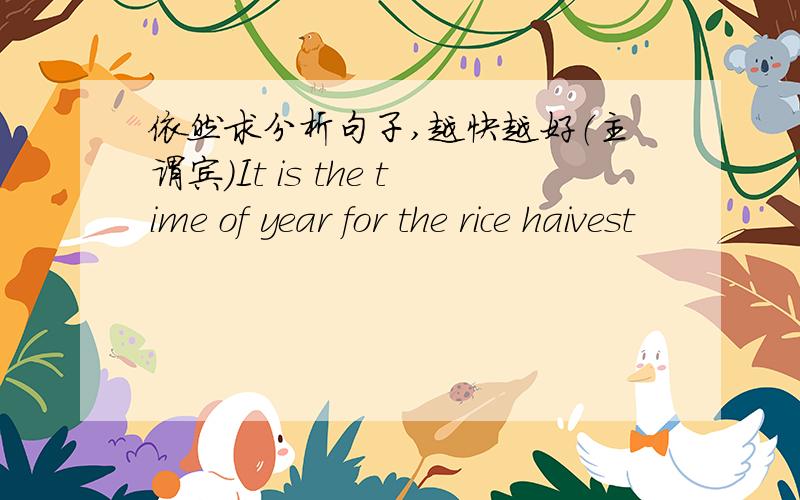 依然求分析句子,越快越好（主谓宾）It is the time of year for the rice haivest