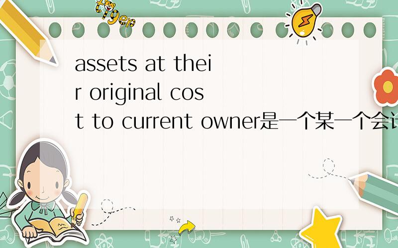 assets at their original cost to current owner是一个某一个会计准则