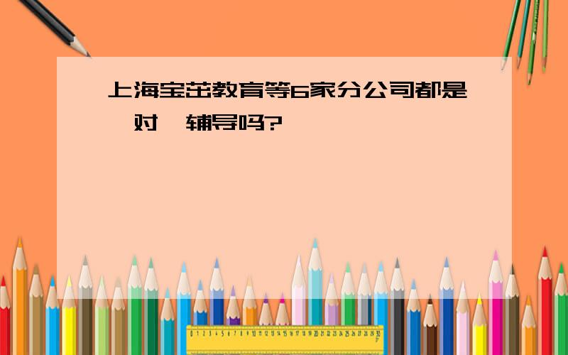 上海宝茁教育等6家分公司都是一对一辅导吗?