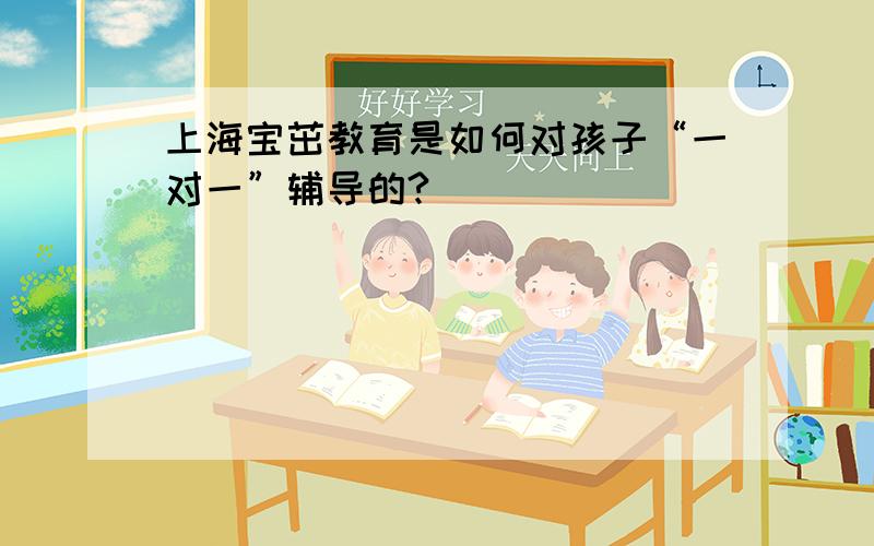 上海宝茁教育是如何对孩子“一对一”辅导的?