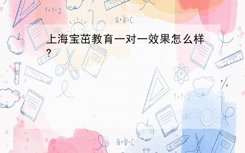 上海宝茁教育一对一效果怎么样?