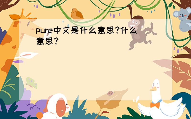pure中文是什么意思?什么意思?