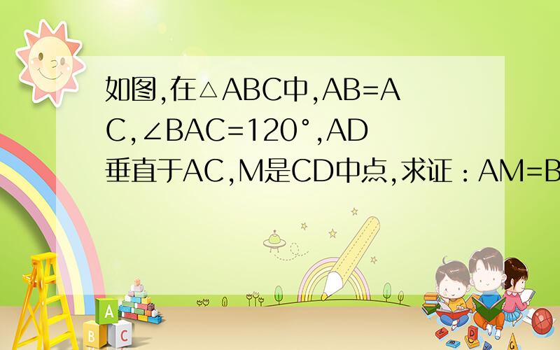 如图,在△ABC中,AB=AC,∠BAC=120°,AD垂直于AC,M是CD中点,求证：AM=BD.A为顶点，点B 点D 点M 点C依次在同一边上。【话说不清楚的话，我可以弄图，】