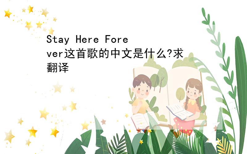 Stay Here Forever这首歌的中文是什么?求翻译