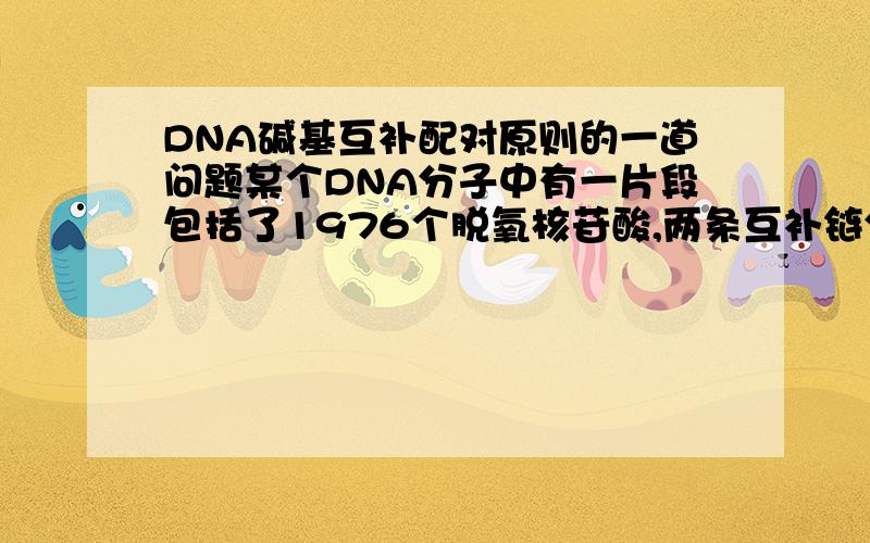 DNA碱基互补配对原则的一道问题某个DNA分子中有一片段包括了1976个脱氧核苷酸,两条互补链分别称作X链和Y链.已知X链上的腺嘌呤和胞嘧啶的总数之和为480个,Y链上两种嘧啶总数之和为492个,如