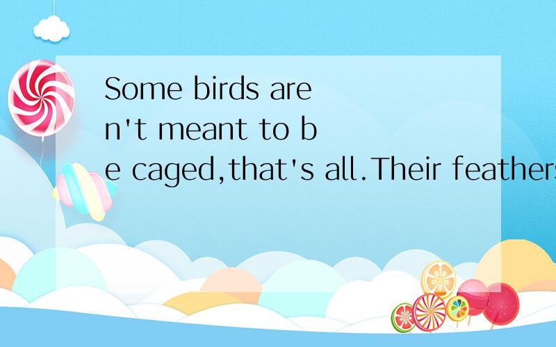 Some birds aren't meant to be caged,that's all.Their feathers are just too bright...