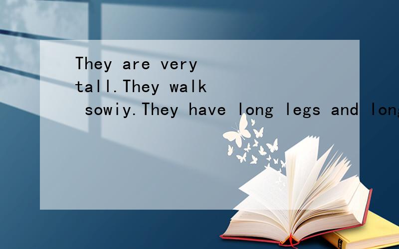 They are very tall.They walk sowiy.They have long legs and long necks.