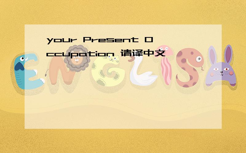 your Present Occupation 请译中文